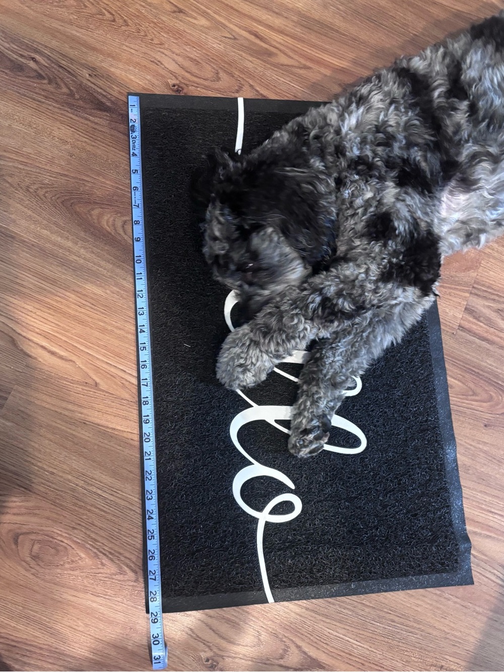 Hello Welcome Mat - Picture 3 of 5